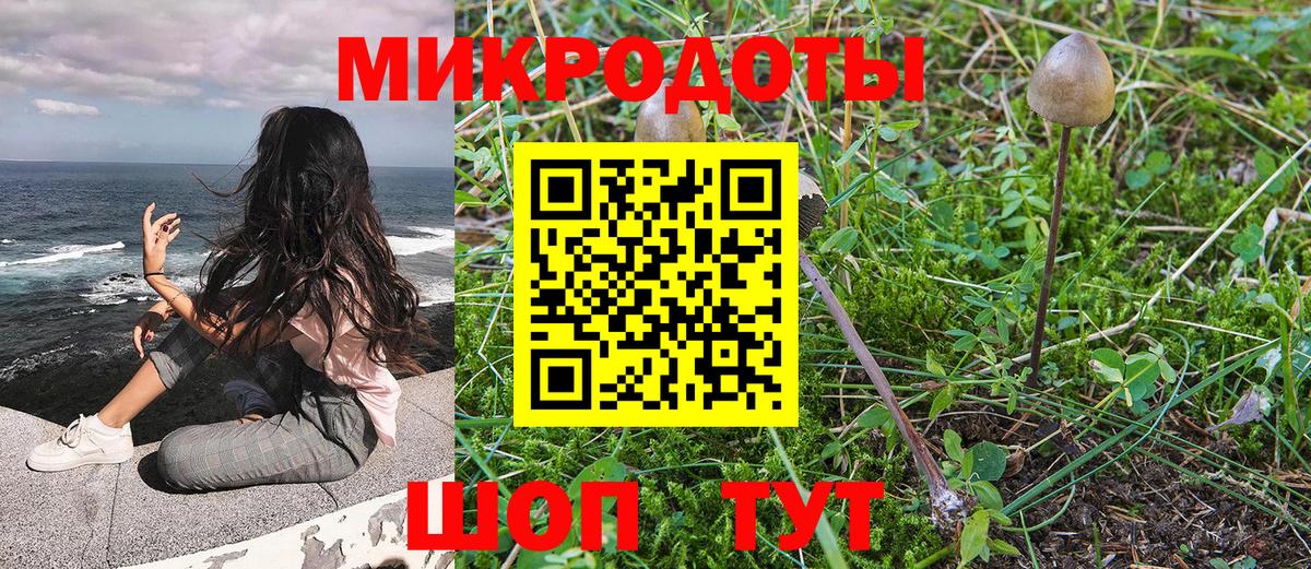 Троицк  Галлюциногенные грибы Psilocybine cubensis  Вход с VPN 